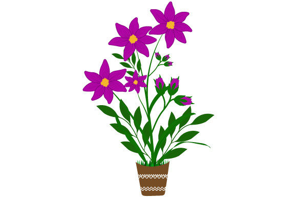 FLOWER- Jasmine Graphics and Illustrations Review
