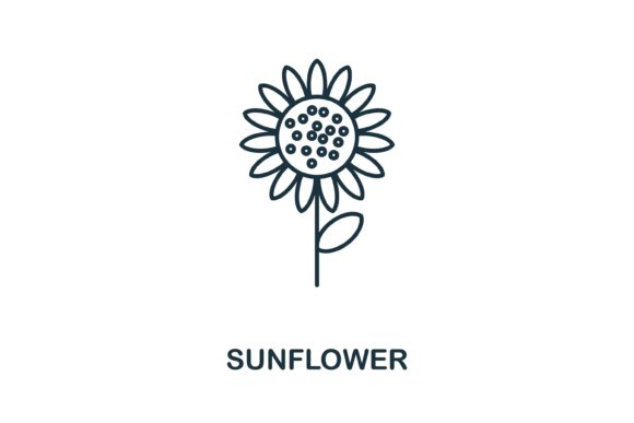 Sunflower Icon Graphics & Icons Review