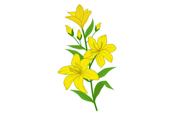 Yellow Flower Illustration Graphics and Illustrations Review